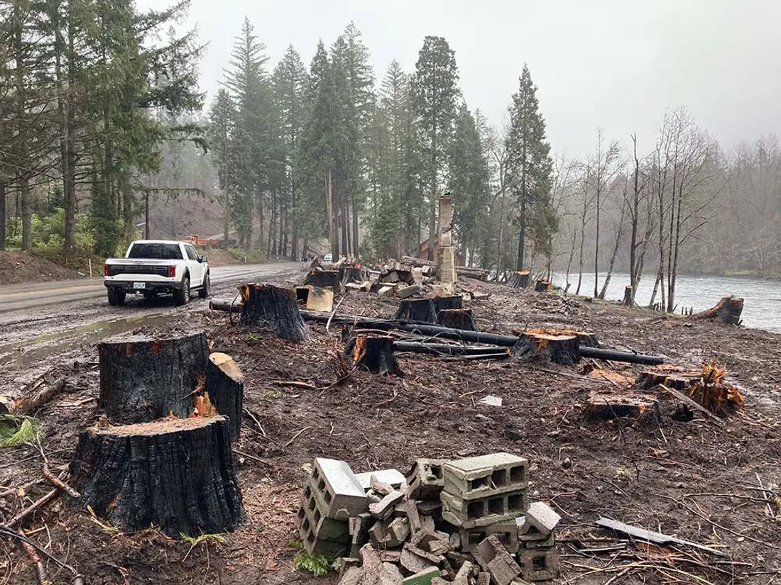Riverside lot with charred stumps and debris before clearing