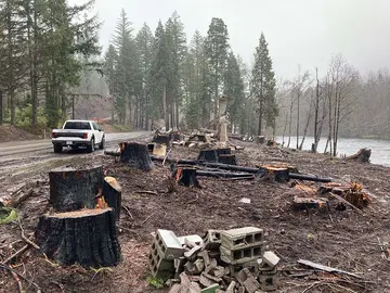 Riverside lot with charred stumps and debris before clearing